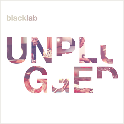 black lab