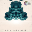 Vivid Nation - Open Your Mind