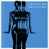 Charming Liars - Something Dark