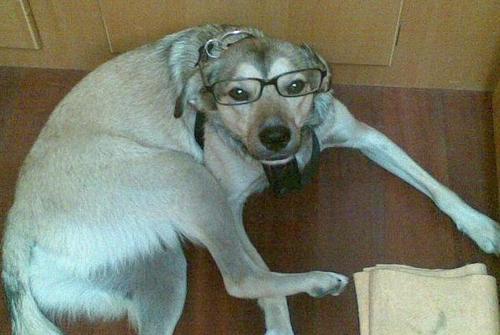 mario reads mario reads